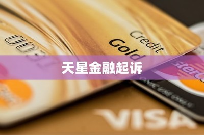 天星金融起訴企業(yè)管理服務 金融科技糾紛的警示